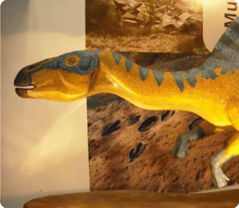 dinosarios de arém en huesca